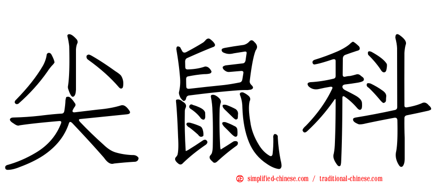 尖鼠科