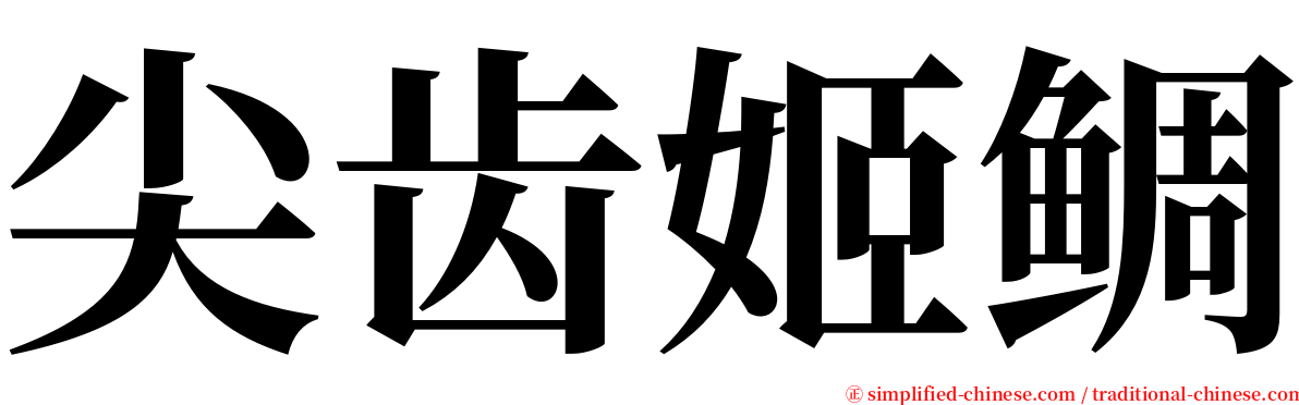 尖齿姬鲷 serif font