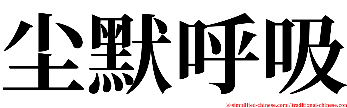 尘默呼吸 serif font