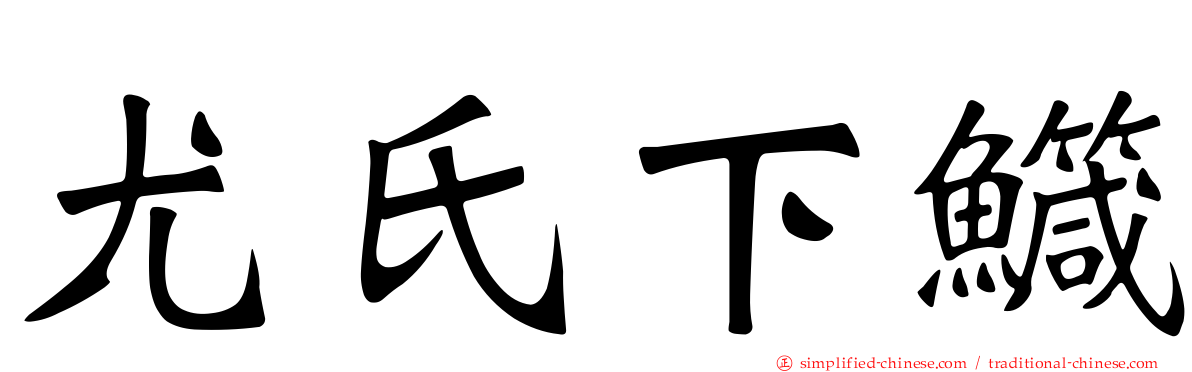 尤氏下鱵
