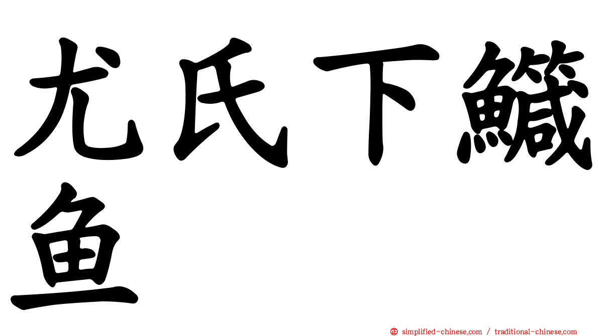 尤氏下鱵鱼