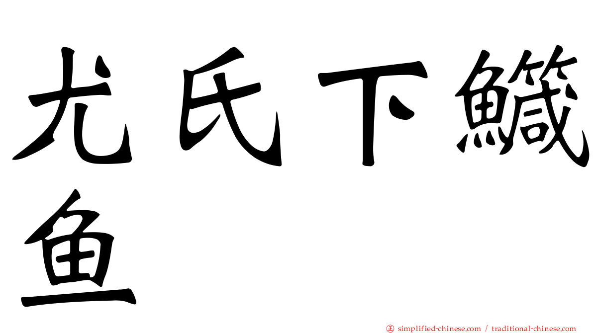 尤氏下鱵鱼