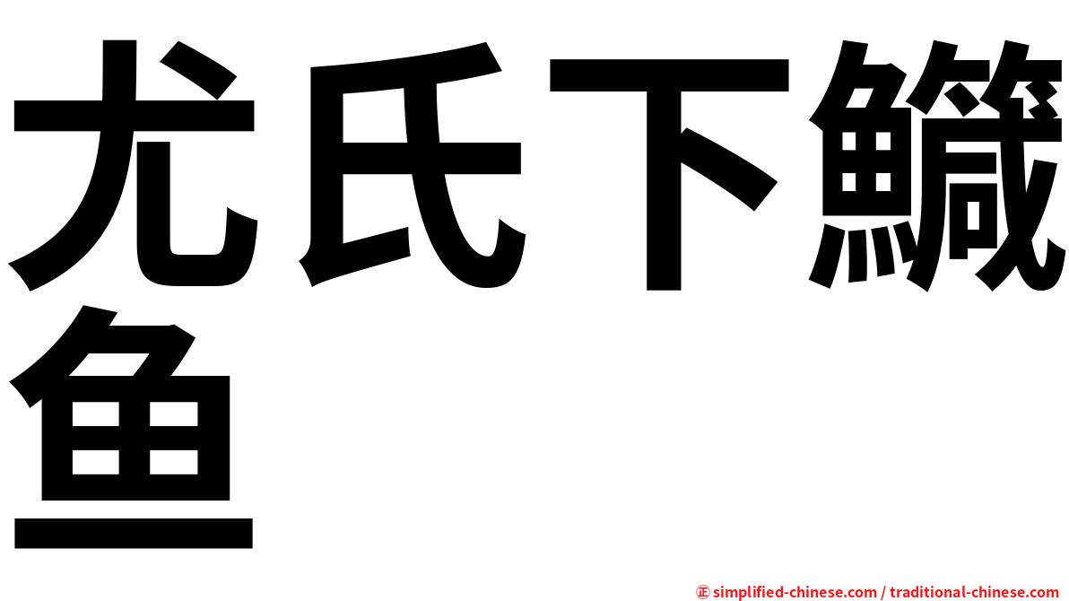 尤氏下鱵鱼