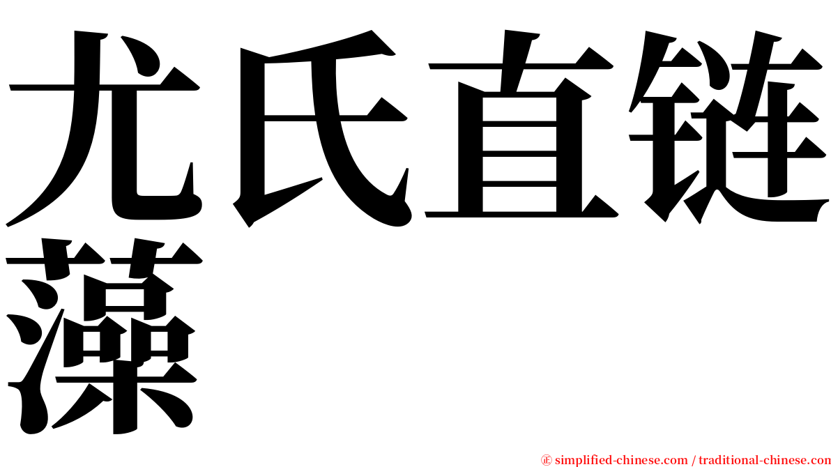 尤氏直链藻 serif font