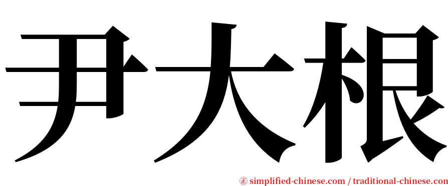尹大根 serif font