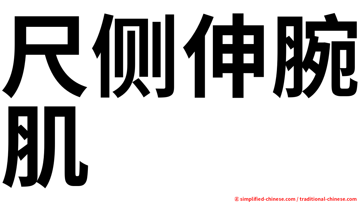 尺侧伸腕肌