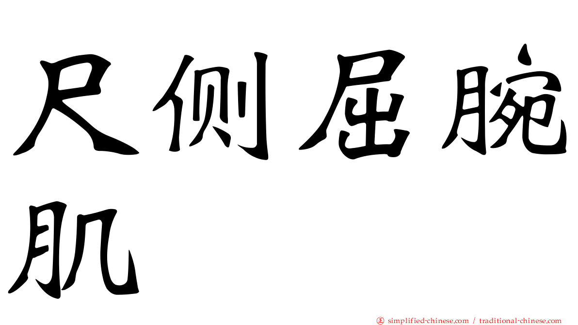 尺侧屈腕肌