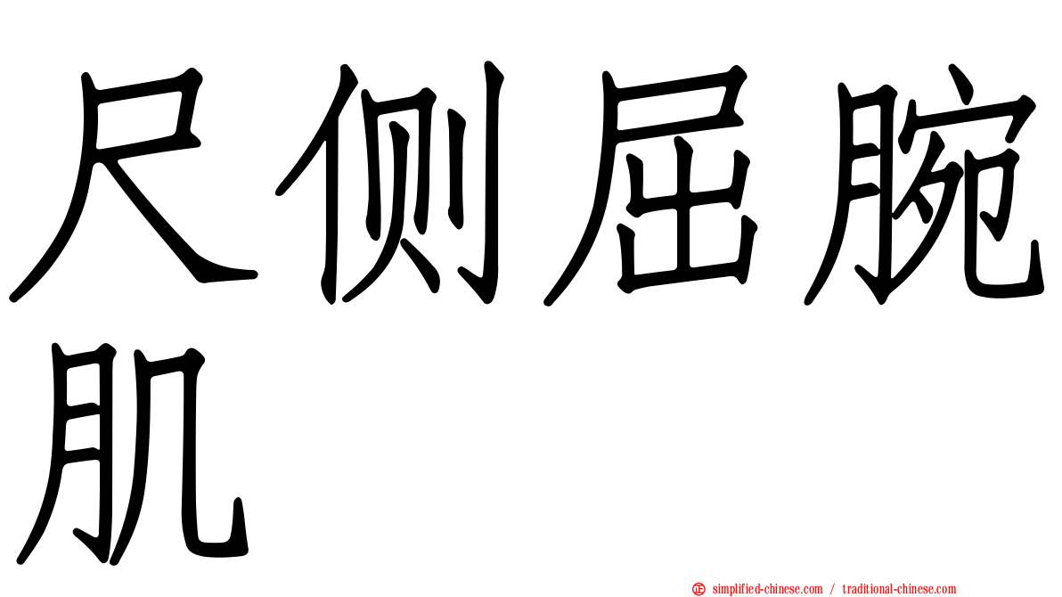 尺侧屈腕肌