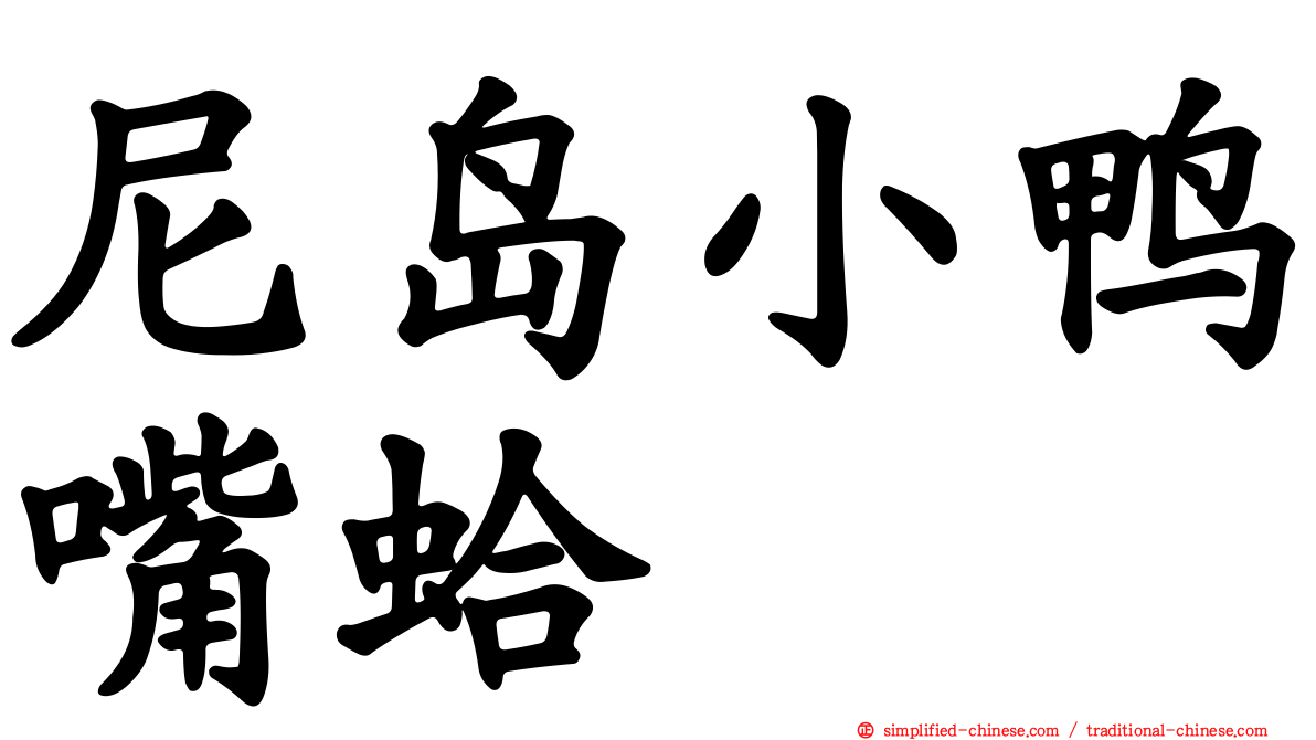 尼岛小鸭嘴蛤