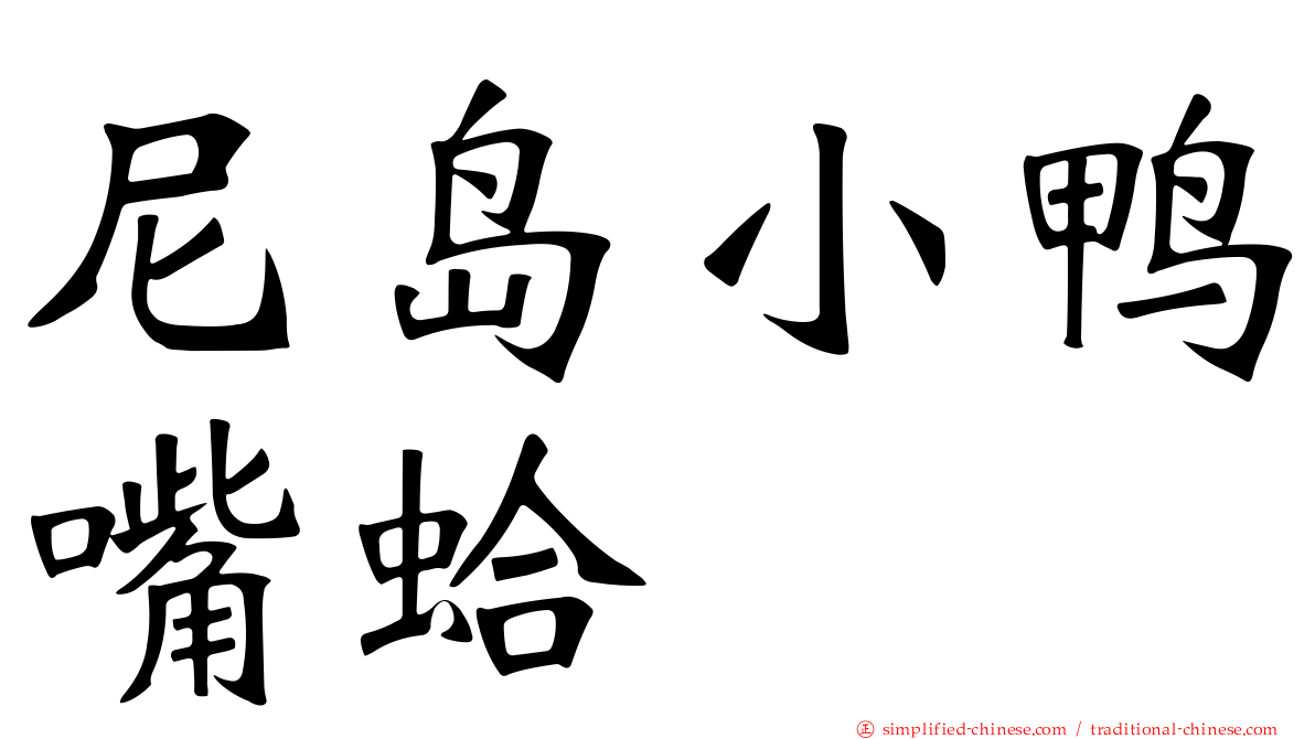 尼岛小鸭嘴蛤