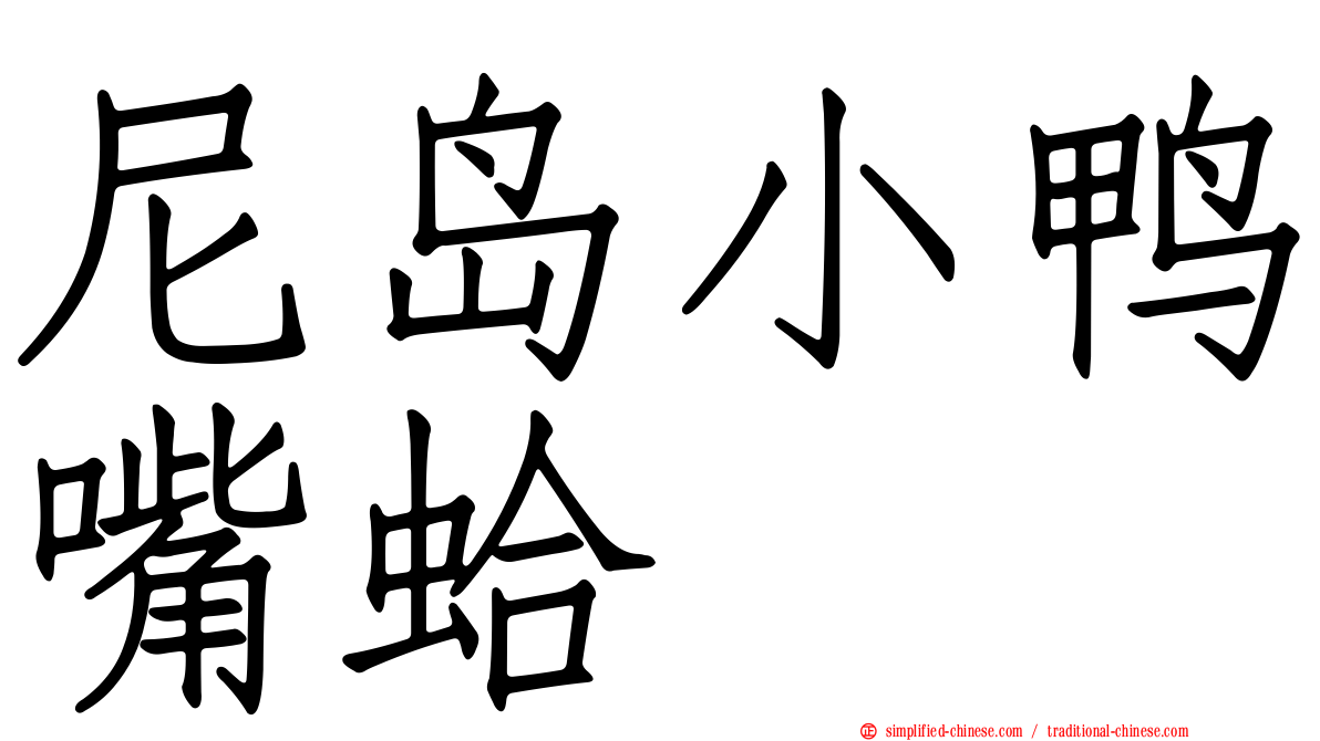 尼岛小鸭嘴蛤