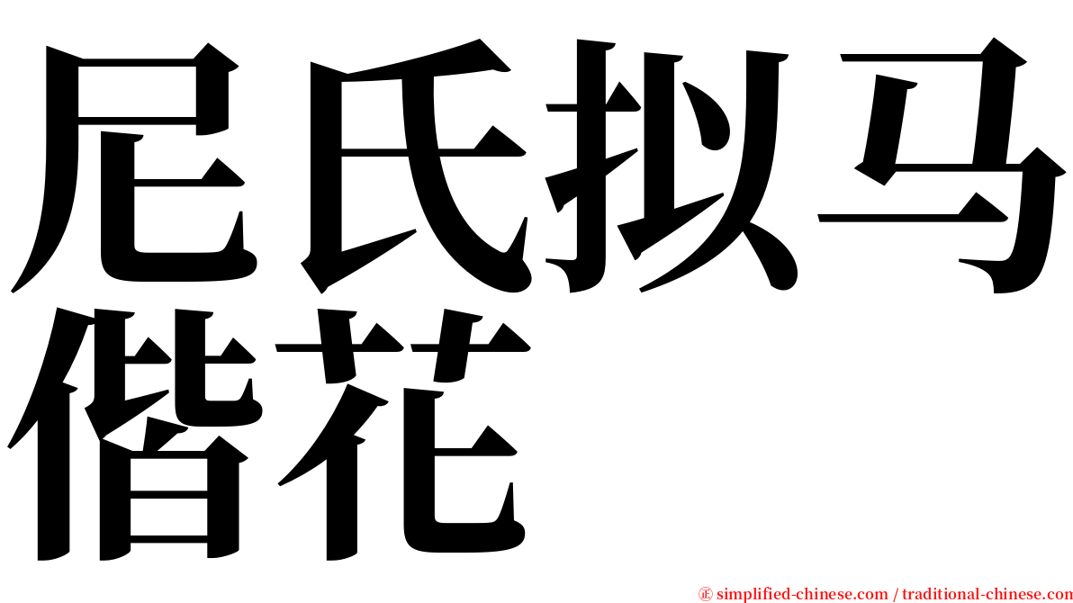 尼氏拟马偕花 serif font