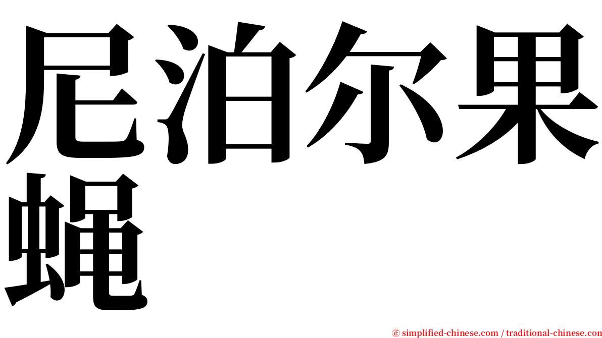 尼泊尔果蝇 serif font