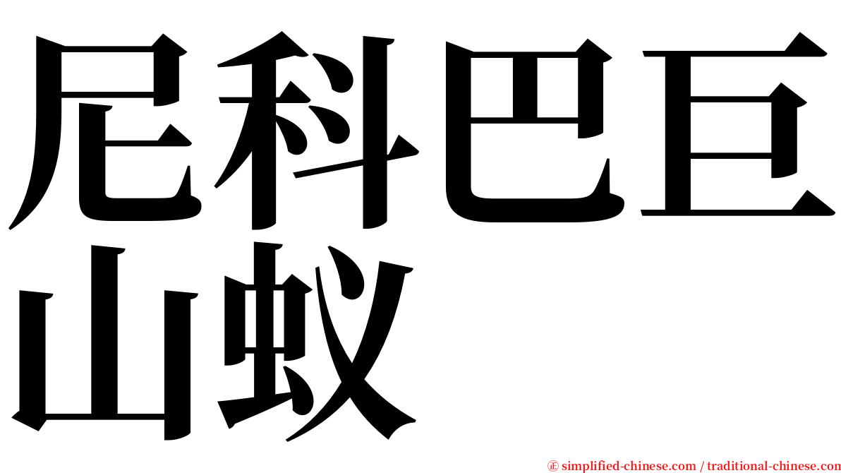 尼科巴巨山蚁 serif font