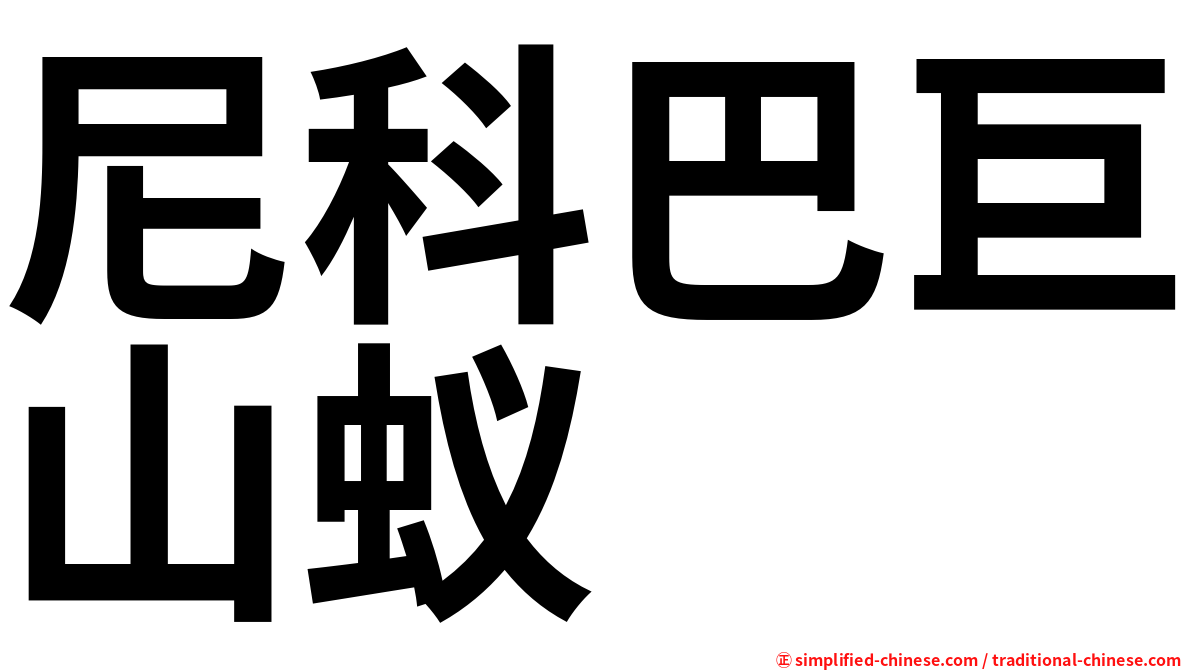 尼科巴巨山蚁