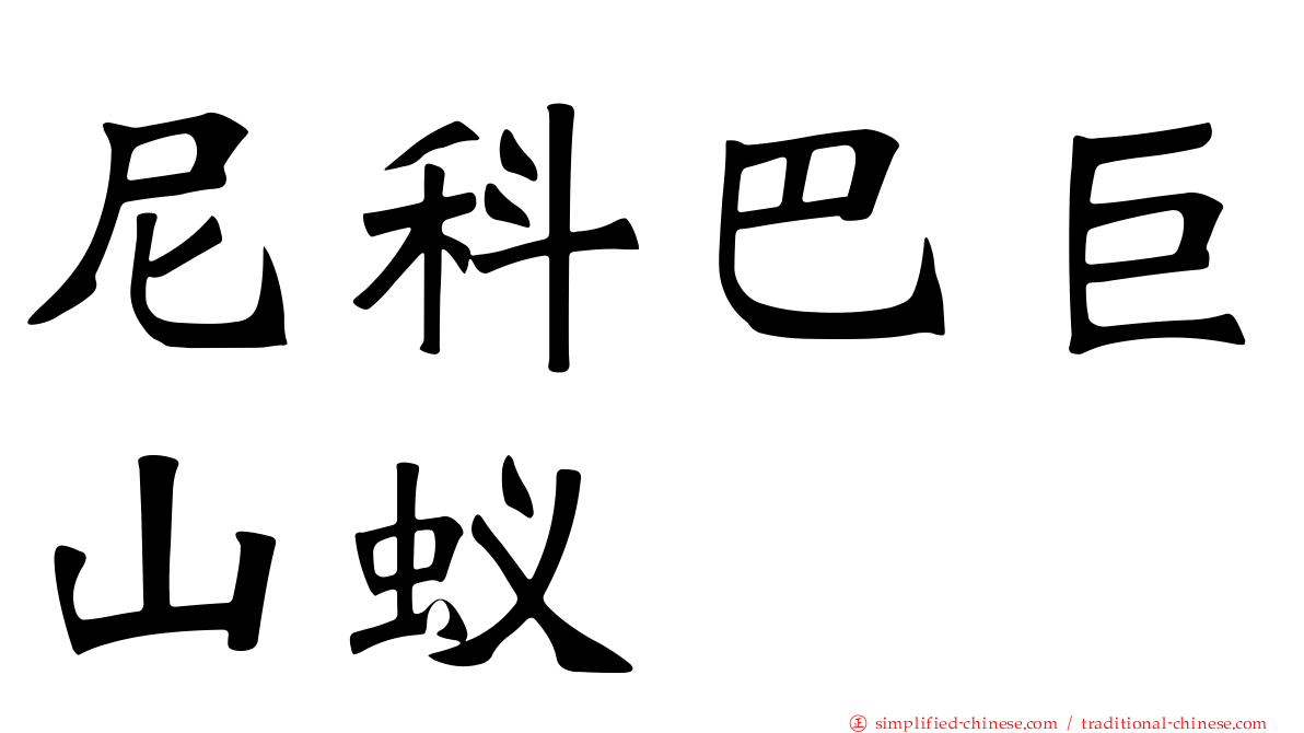 尼科巴巨山蚁