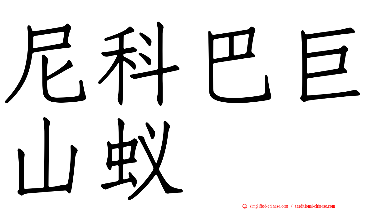 尼科巴巨山蚁