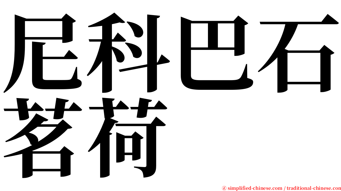 尼科巴石茗荷 serif font
