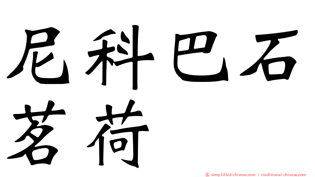 尼科巴石茗荷