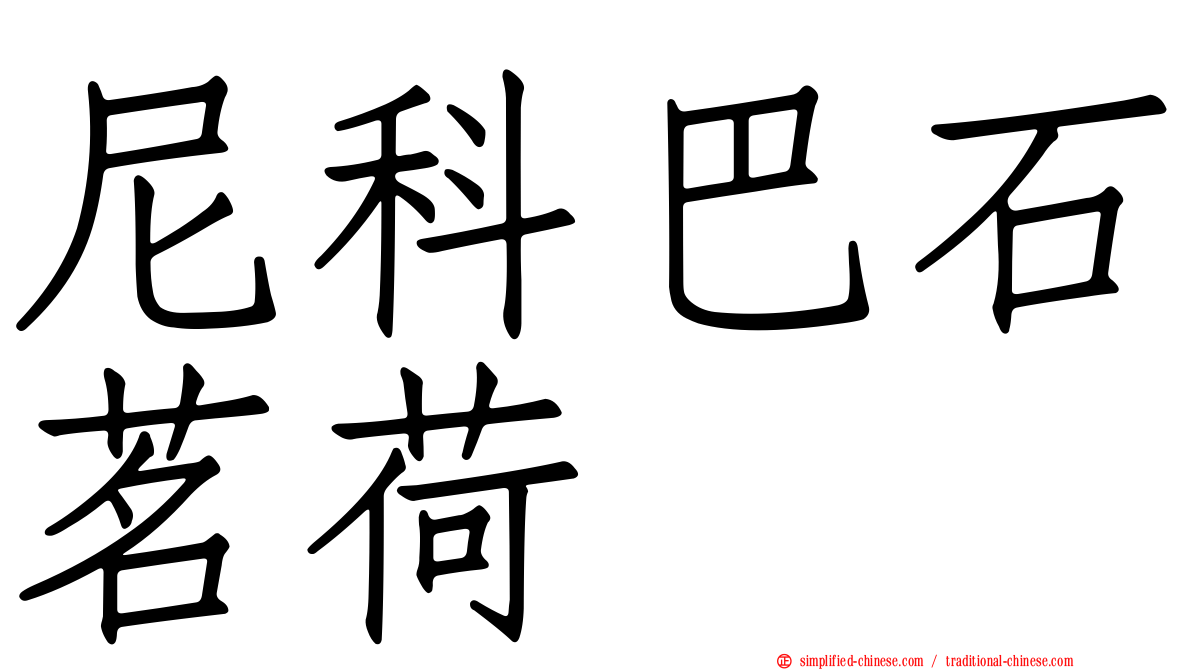 尼科巴石茗荷