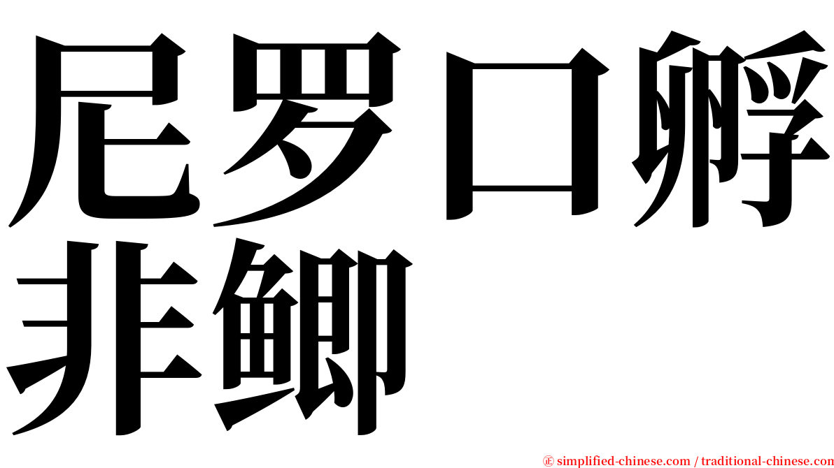 尼罗口孵非鲫 serif font