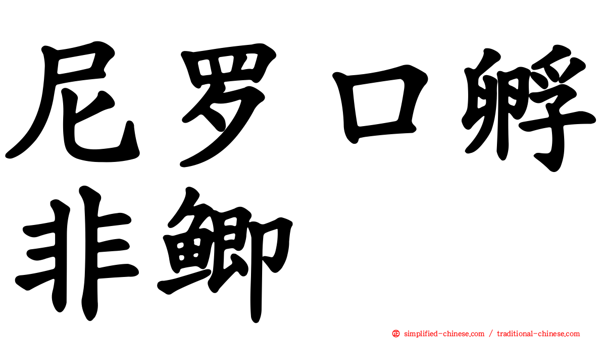 尼罗口孵非鲫