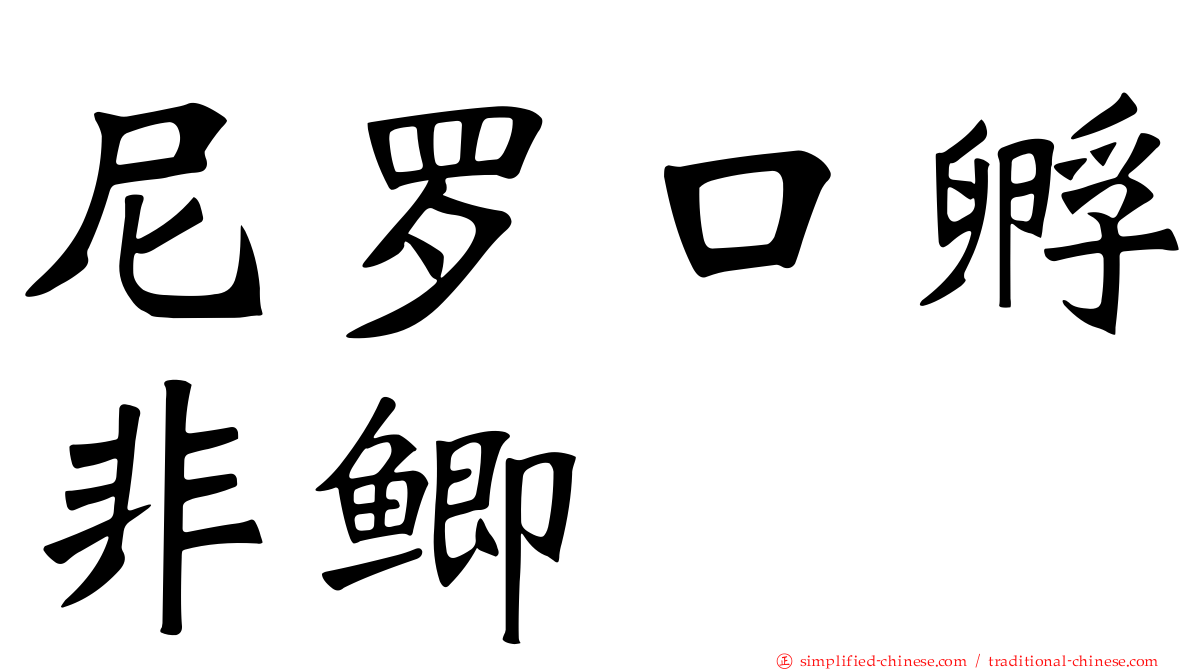 尼罗口孵非鲫