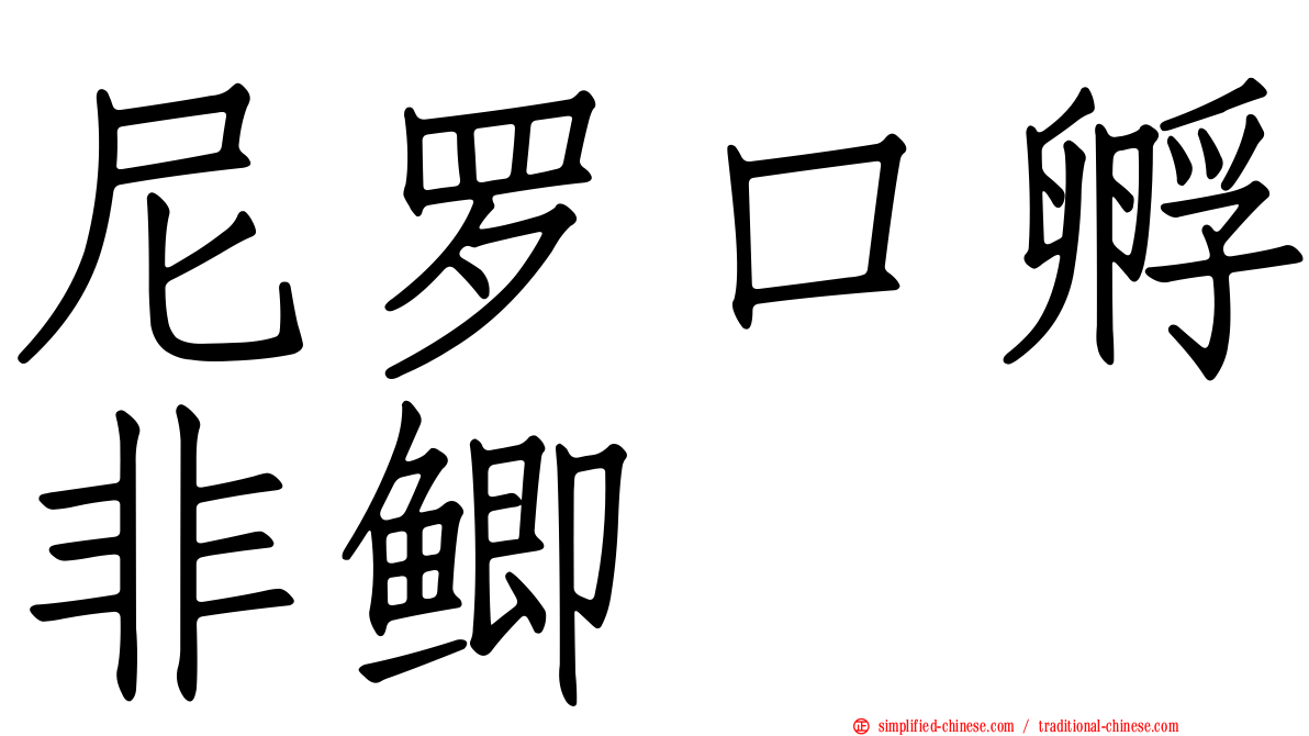 尼罗口孵非鲫