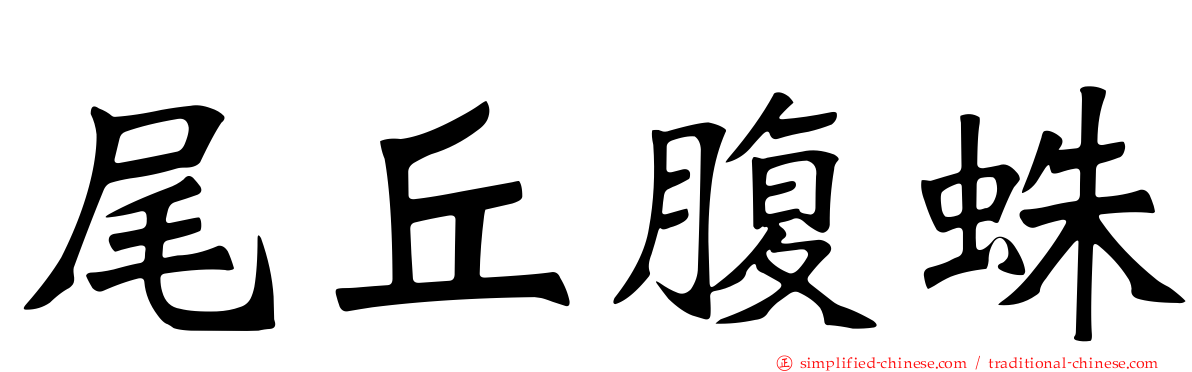 尾丘腹蛛