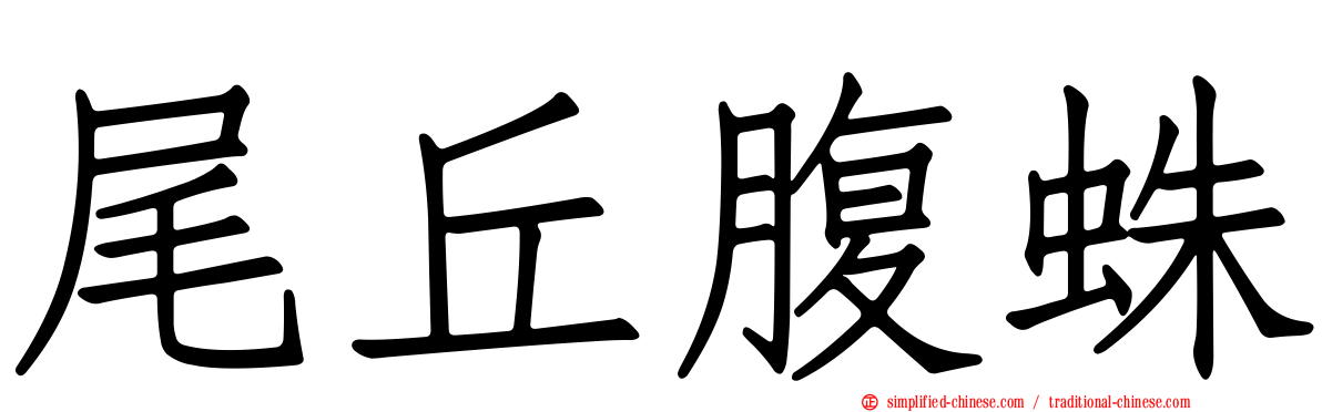 尾丘腹蛛