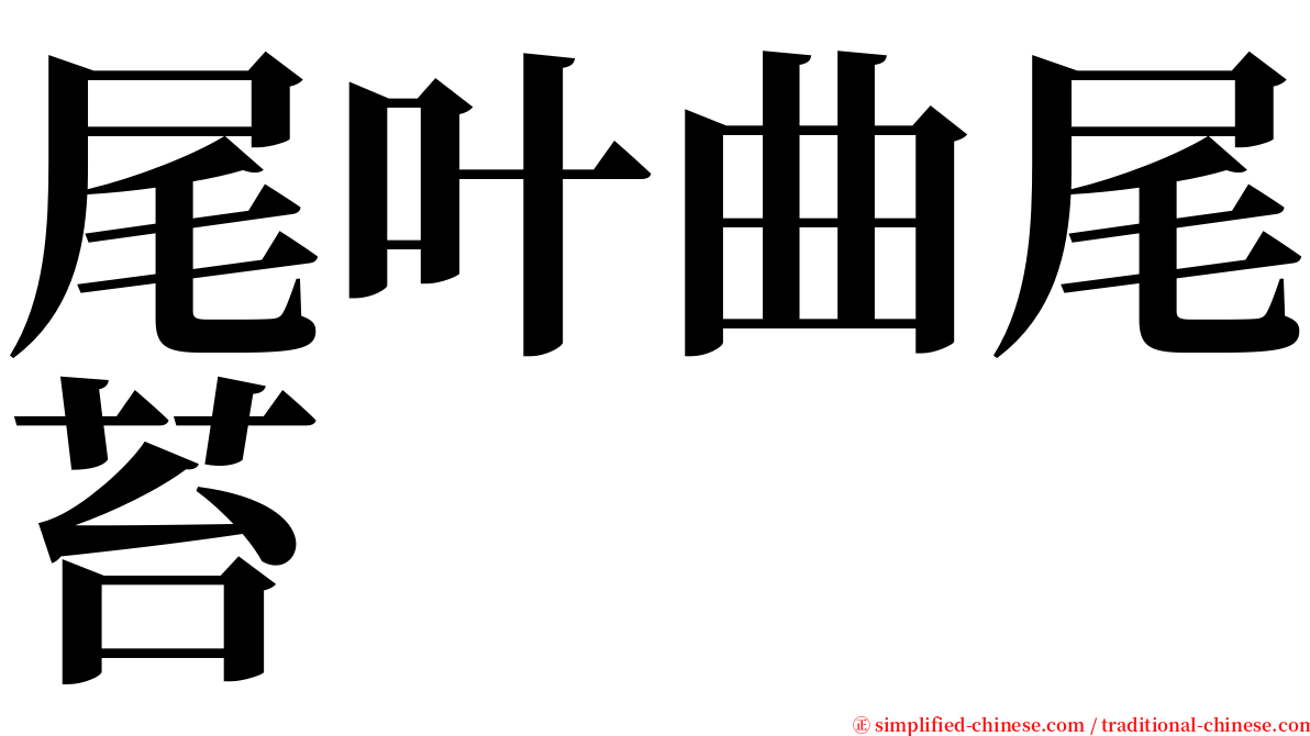 尾叶曲尾苔 serif font