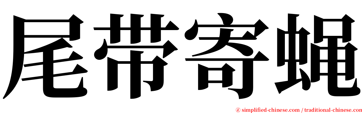 尾带寄蝇 serif font