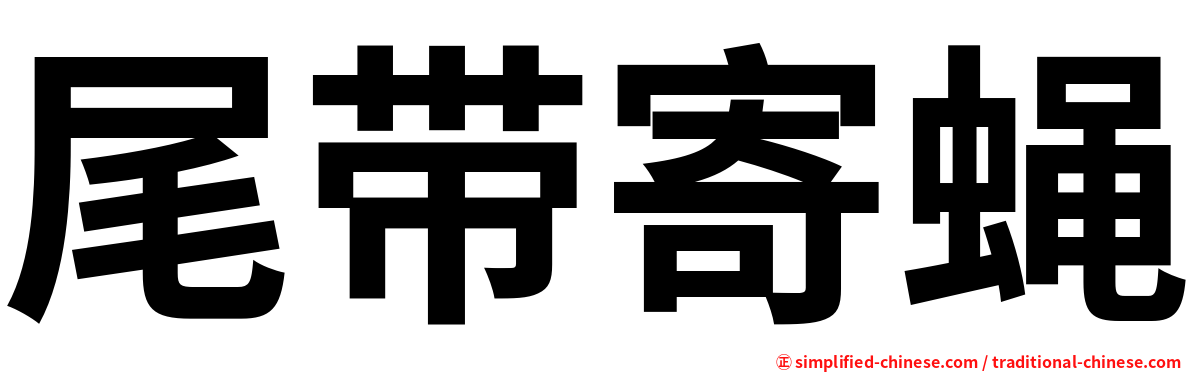 尾带寄蝇