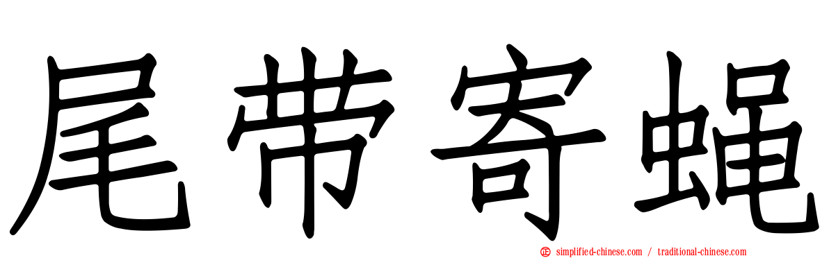 尾带寄蝇