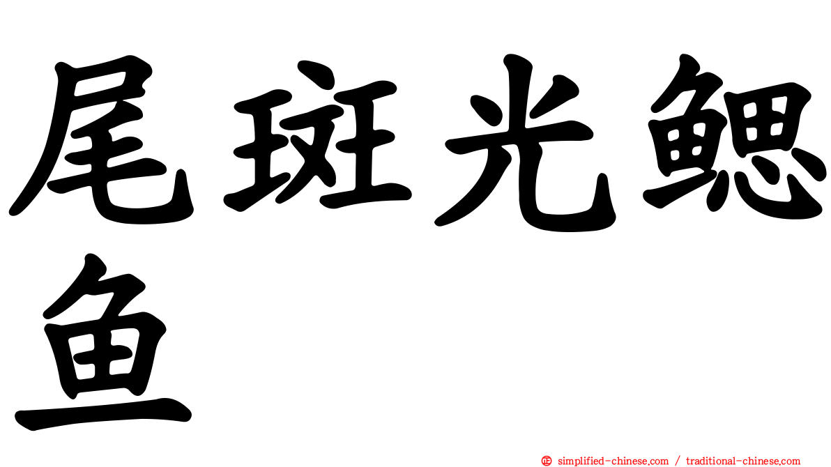 尾斑光鳃鱼