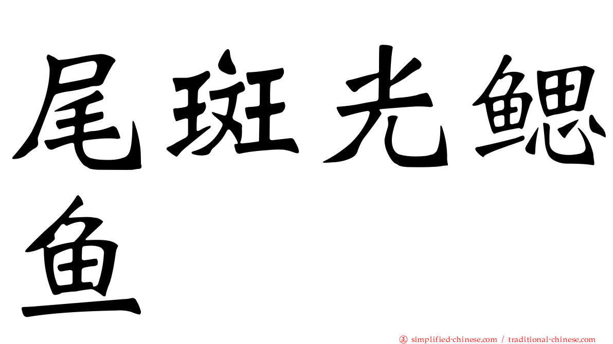 尾斑光鳃鱼