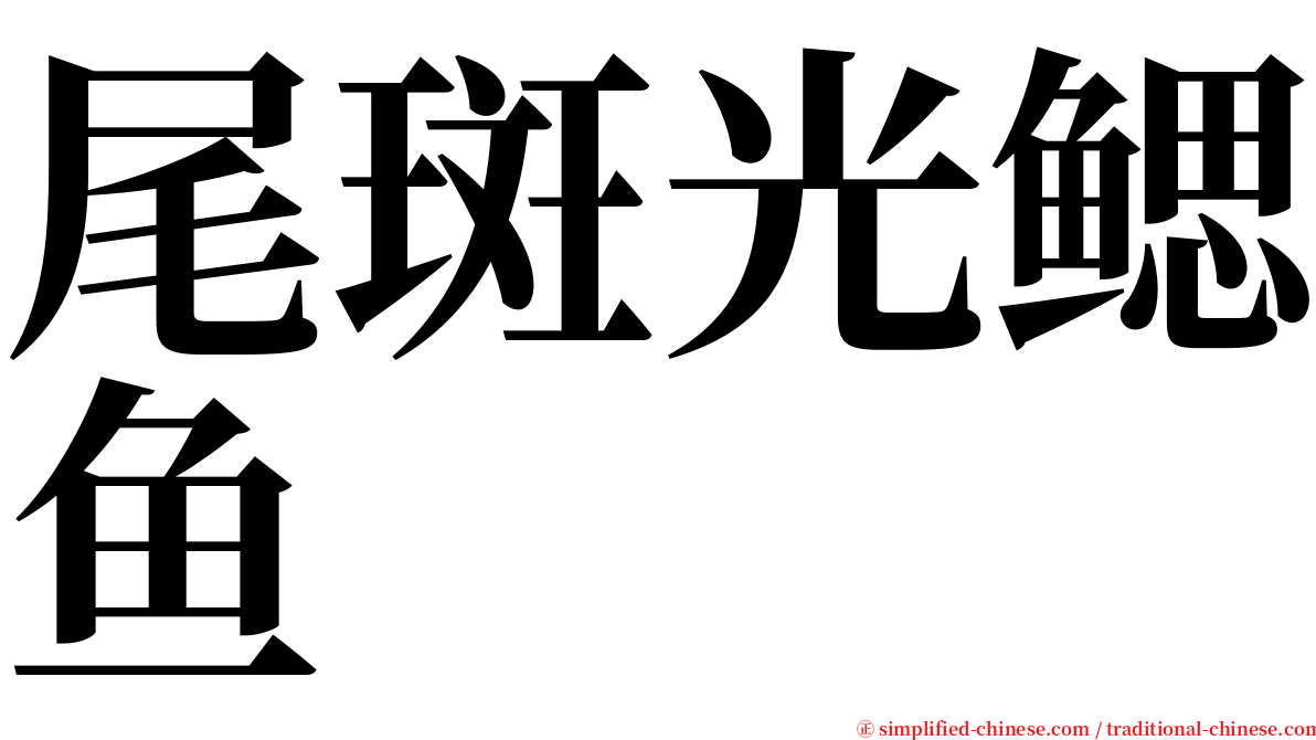 尾斑光鳃鱼 serif font