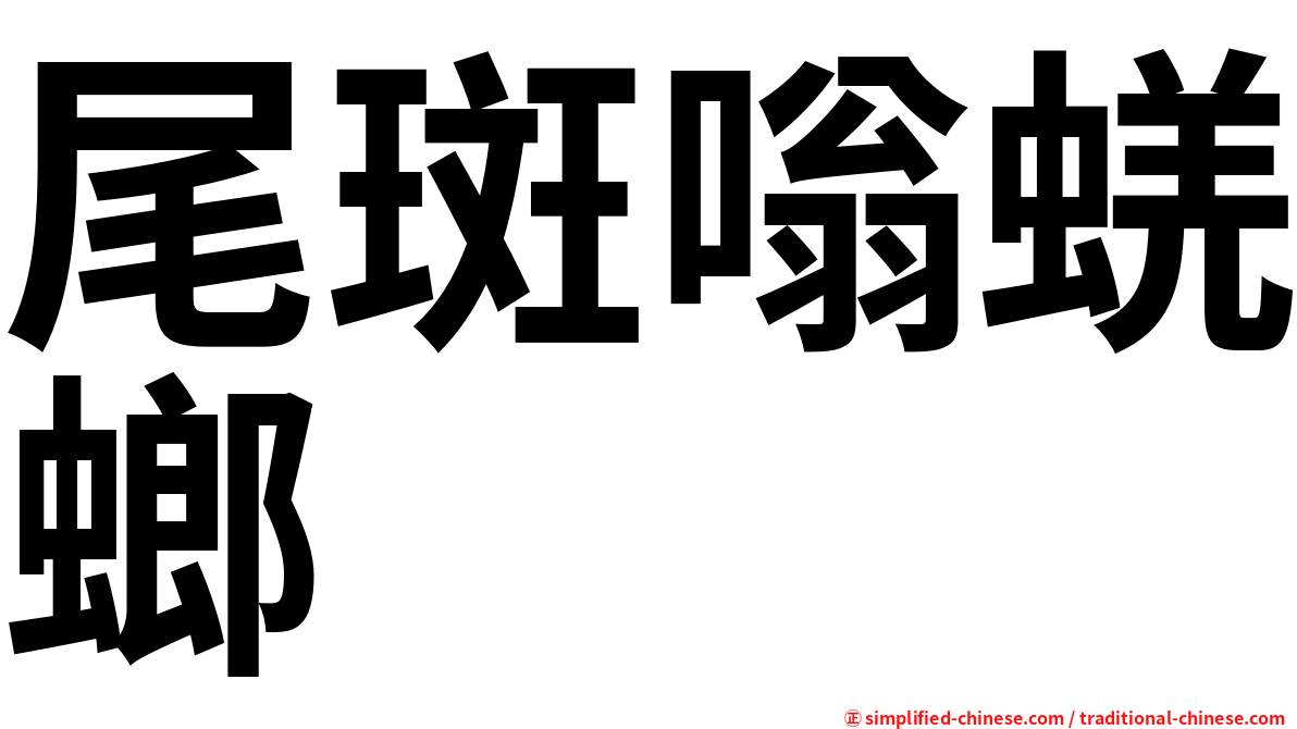 尾斑嗡蜣螂