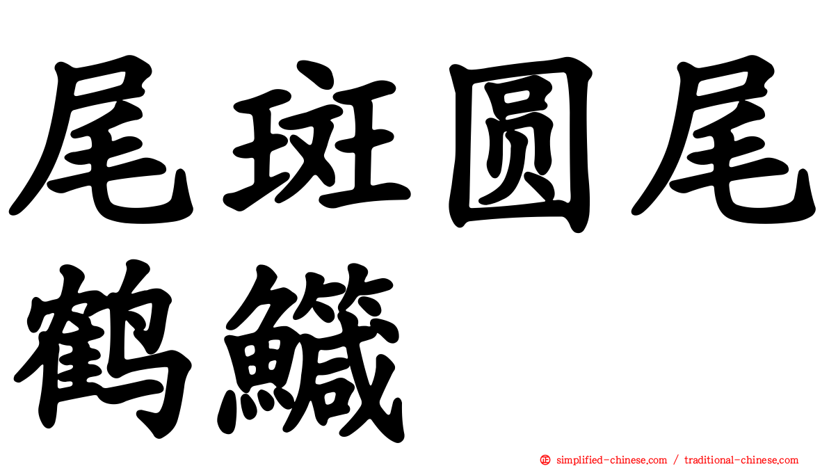 尾斑圆尾鹤鱵