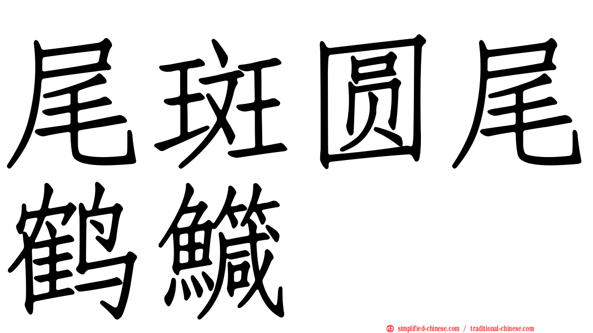 尾斑圆尾鹤鱵