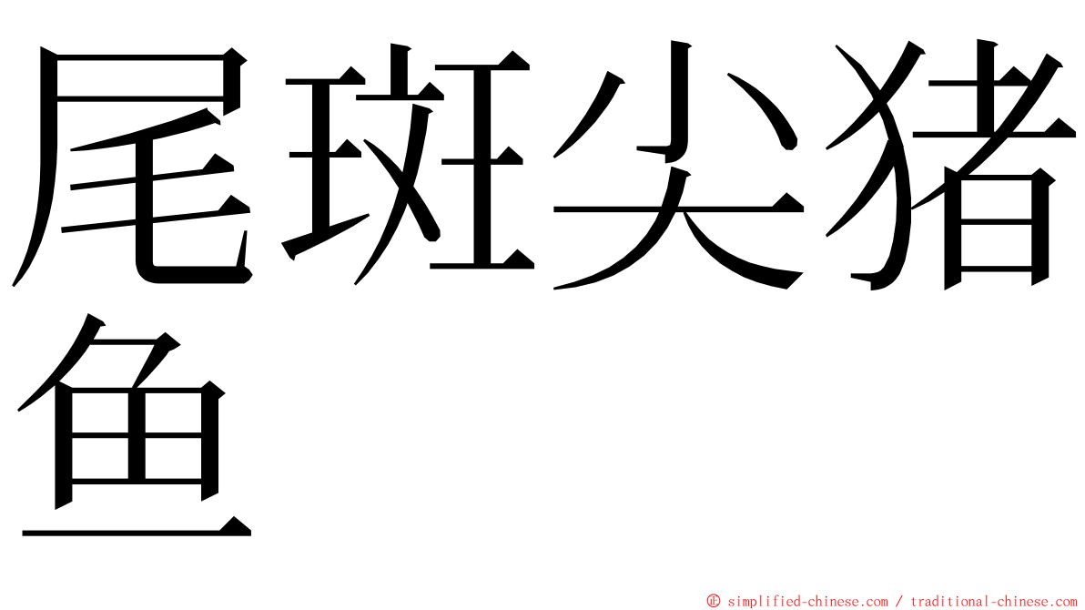 尾斑尖猪鱼 ming font