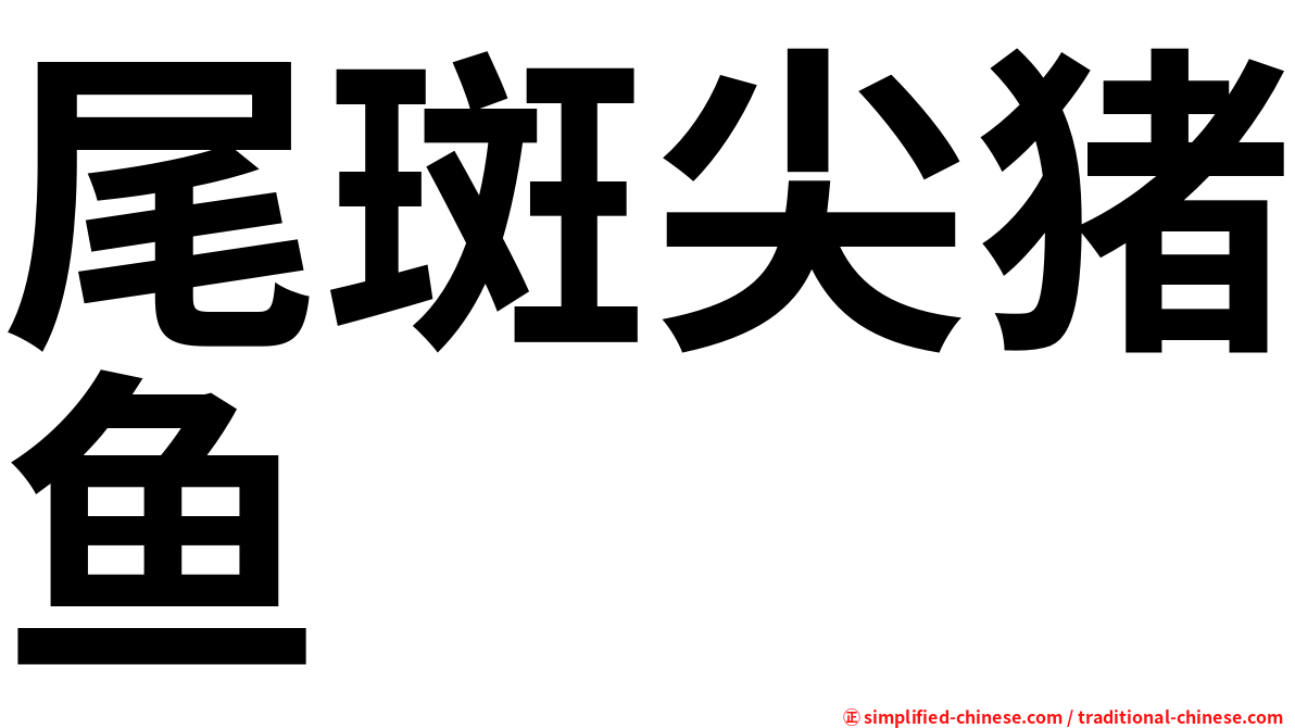 尾斑尖猪鱼