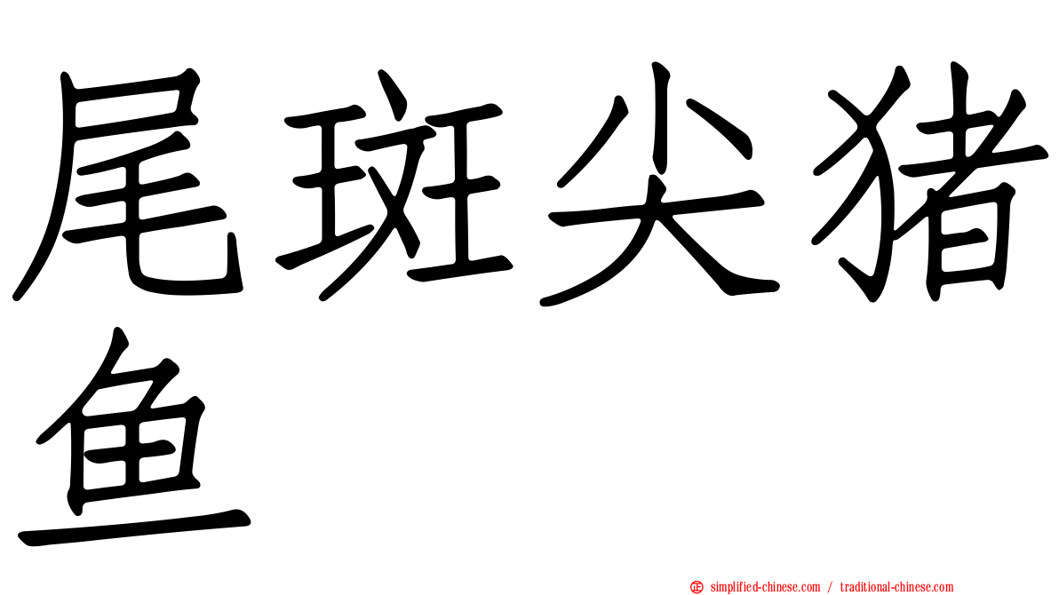尾斑尖猪鱼