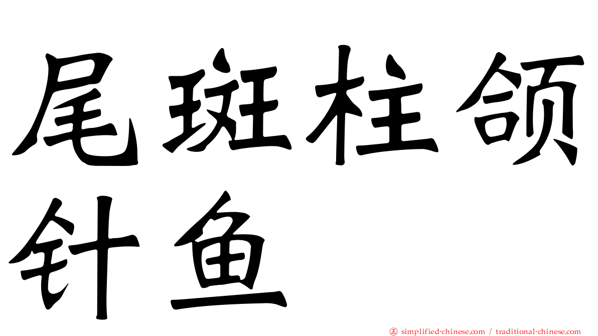 尾斑柱颌针鱼