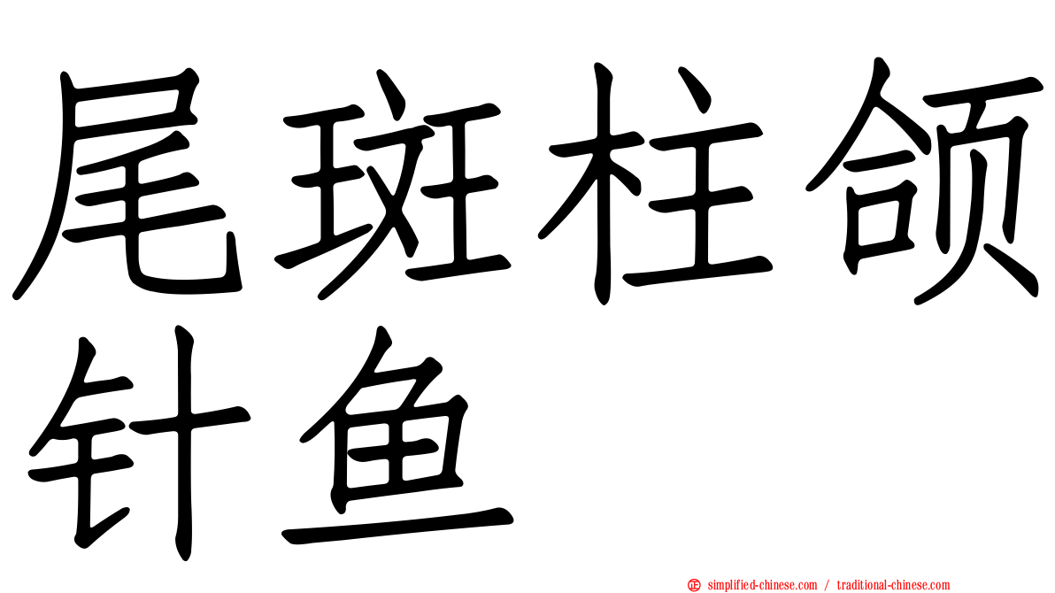 尾斑柱颌针鱼