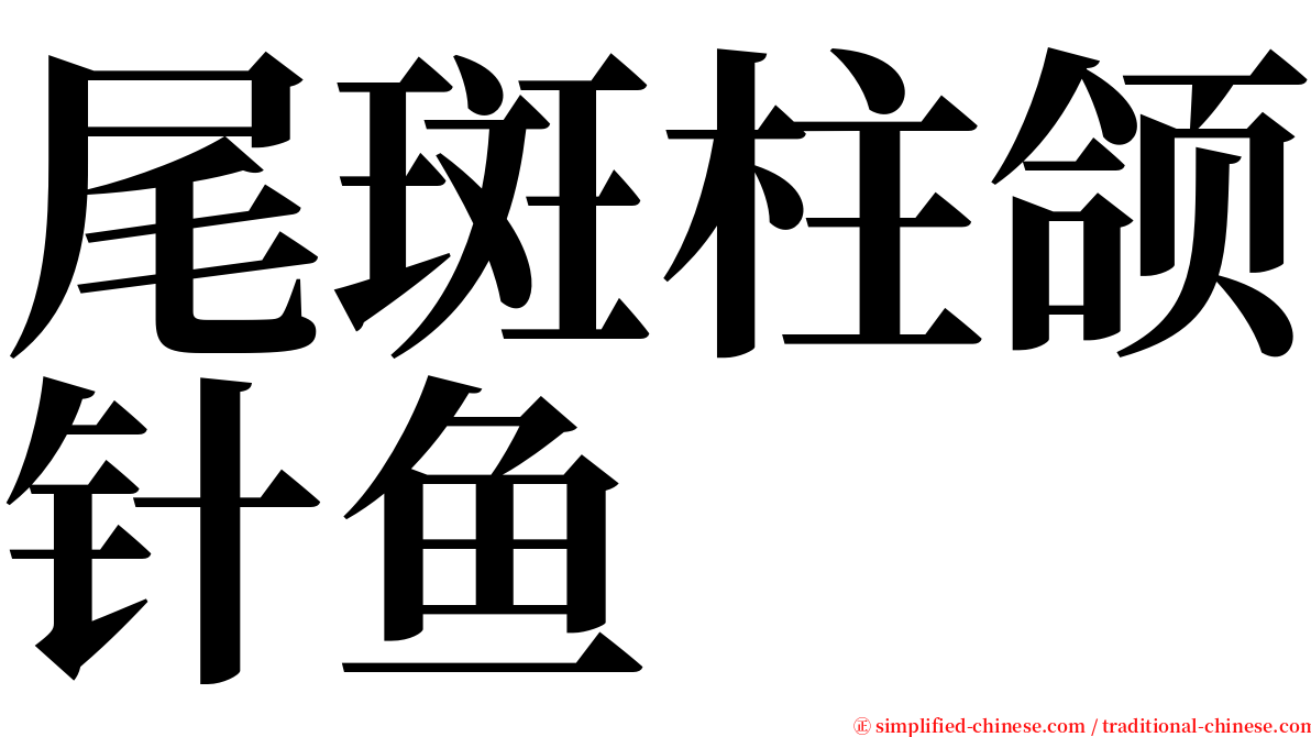 尾斑柱颌针鱼 serif font