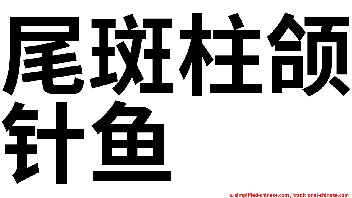 尾斑柱颌针鱼
