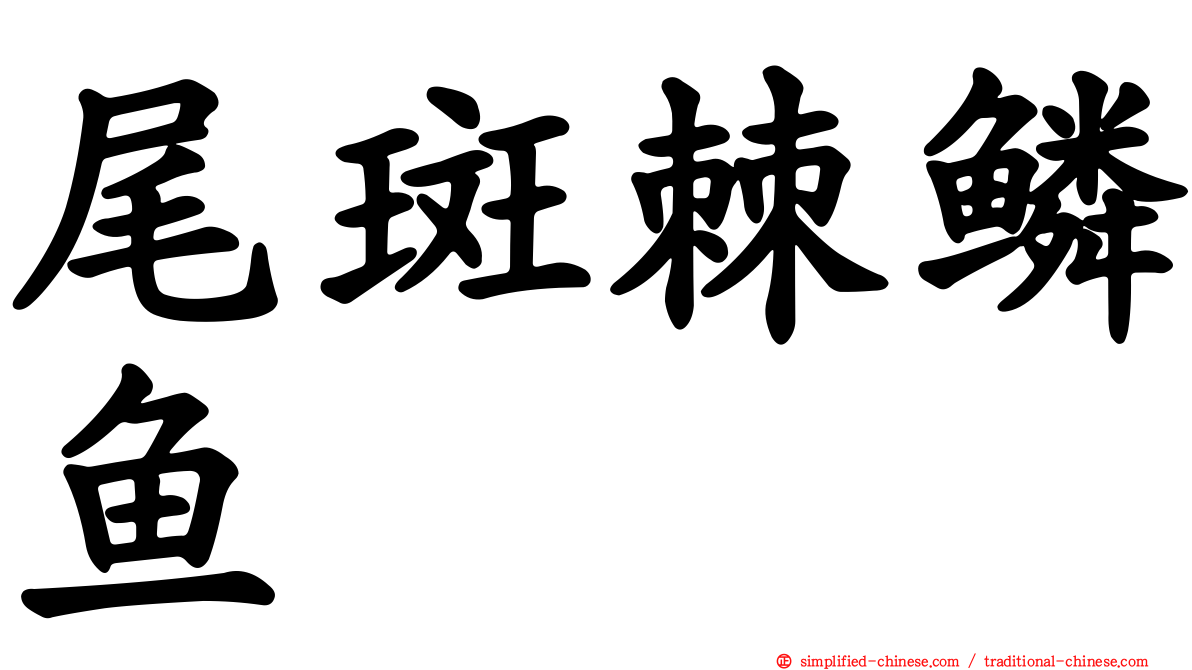尾斑棘鳞鱼