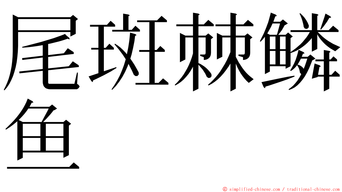 尾斑棘鳞鱼 ming font