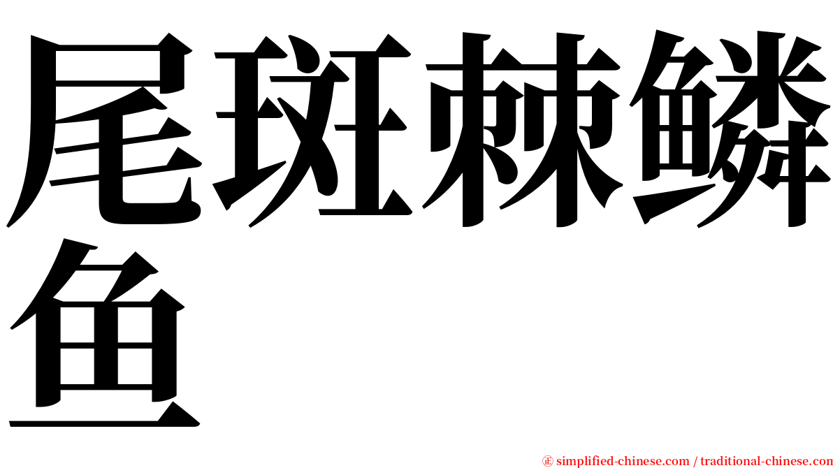 尾斑棘鳞鱼 serif font